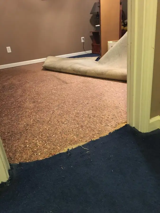 Carpet pad removal revealing water damage during Water Mitigation Services in Essex