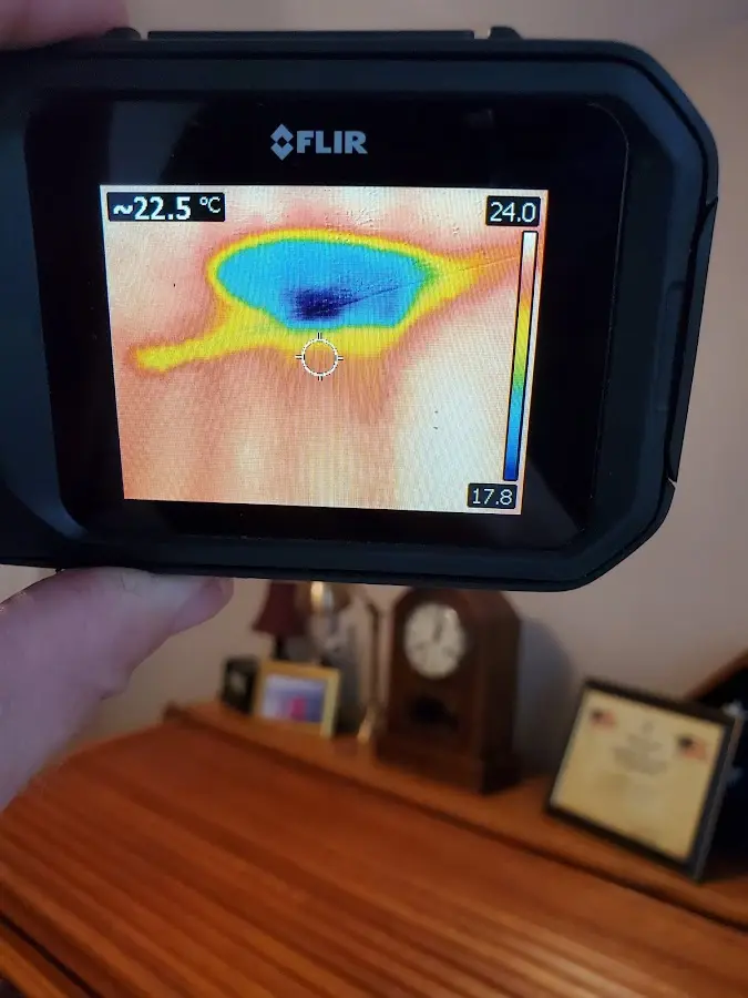 Thermal imaging inspection for water damage in Essex