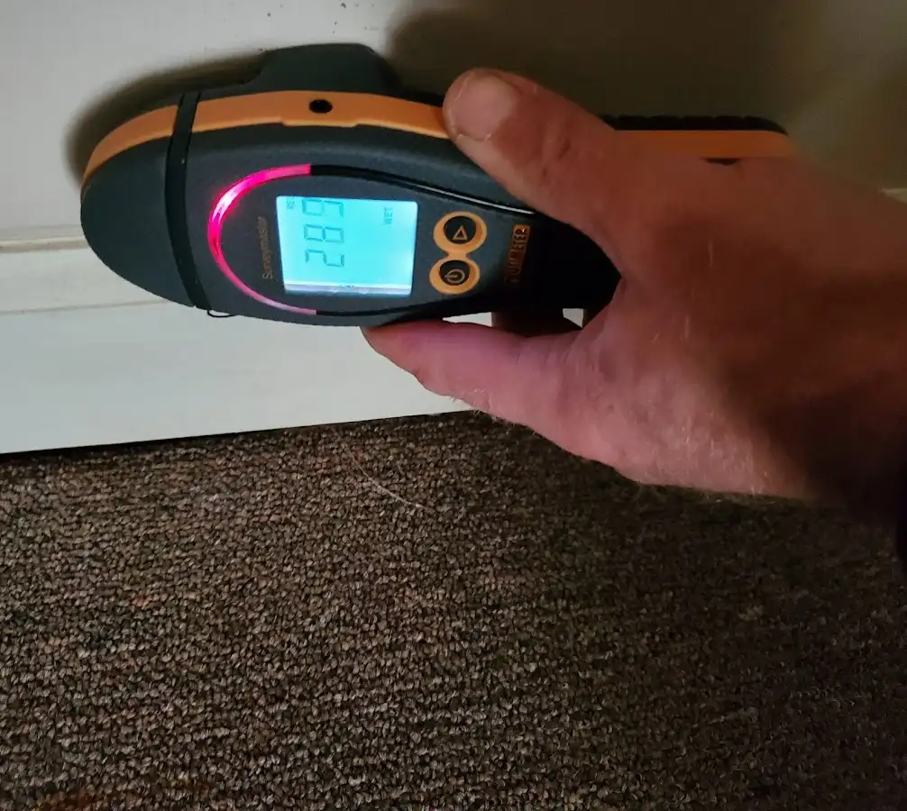 Moisture detection at baseboard during Sewage Cleanup & Sanitation in Essex